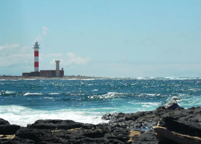 Nire Lula En La Misma Playa Apartamento Cotillo