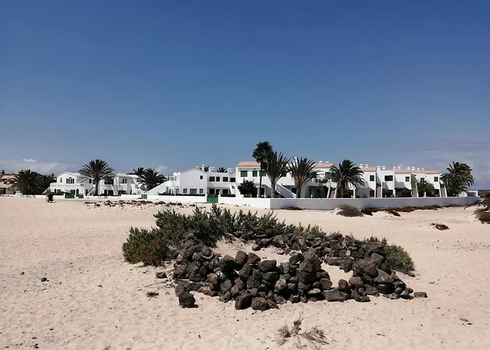 Nire Lula En La Misma Playa