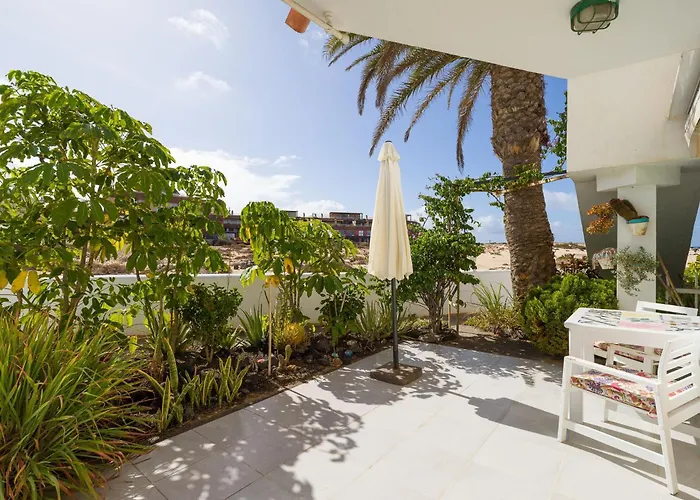 Nire Lula En La Misma Playa