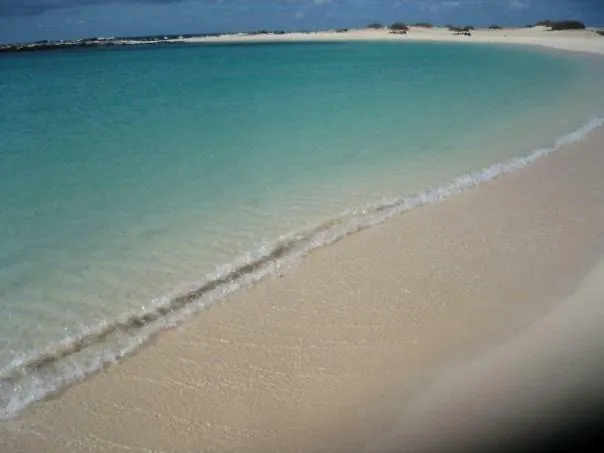 Nire Lula En La Misma Playa *