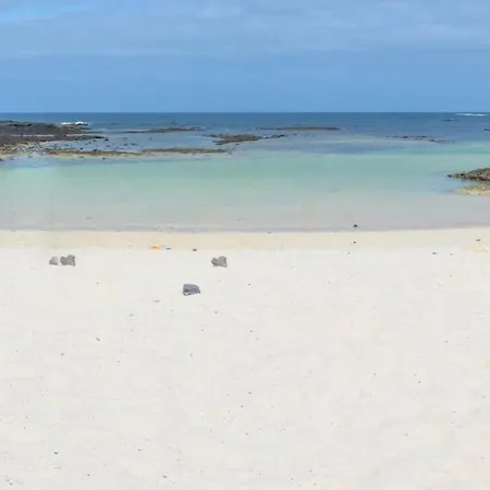 Nire Lula En La Misma Playa