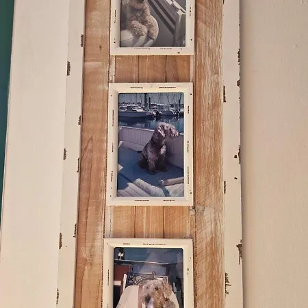 Nire Lula En La Misma Playa *