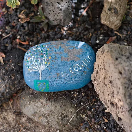 아파트 Nire Lula En La Misma Playa