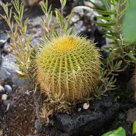 דירה Nire Lula En La Misma Playa