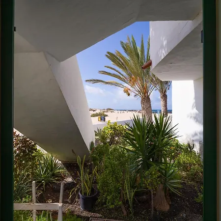 Nire Lula En La Misma Playa