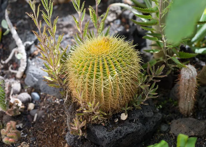 Appartement Nire Lula En La Misma Playa