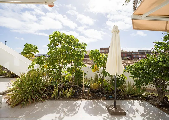 Nire Lula En La Misma Playa Appartement *