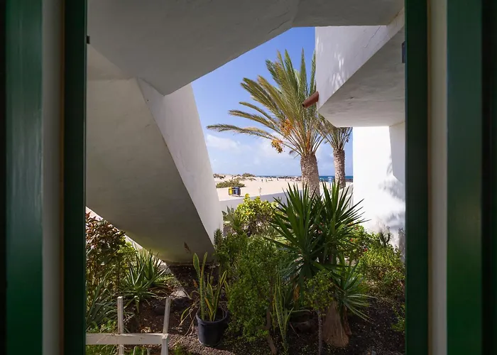 Nire Lula En La Misma Playa