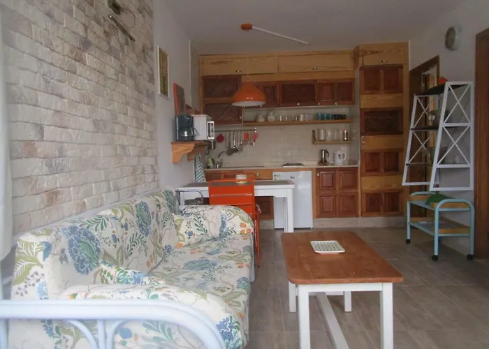 Nire Lula En La Misma Playa Appartement