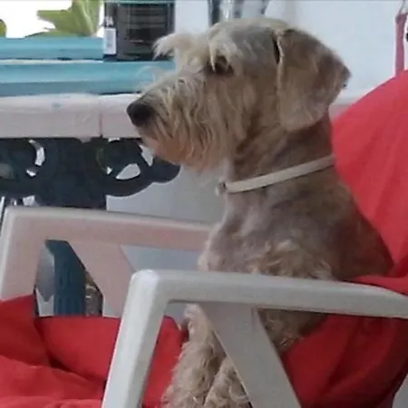 アパート Nire Lula En La Misma Playa Cotillo