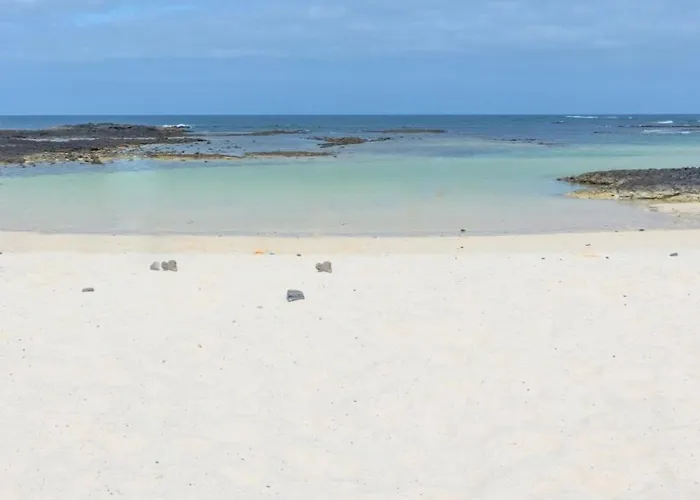 Nire Lula En La Misma Playa