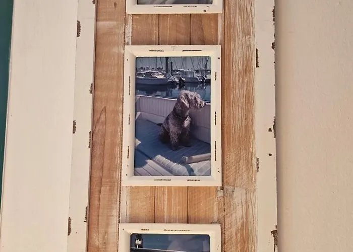 Nire Lula En La Misma Playa *