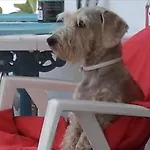 아파트 Nire Lula En La Misma Playa Cotillo
